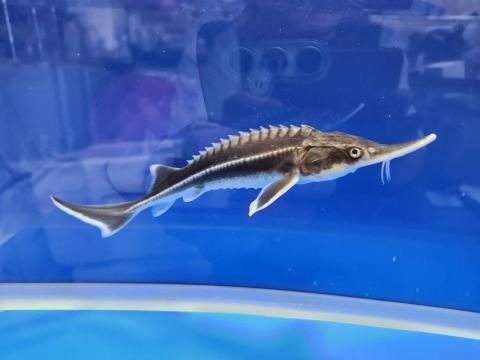   ٥ƥ18cm2025.11.03ߡ