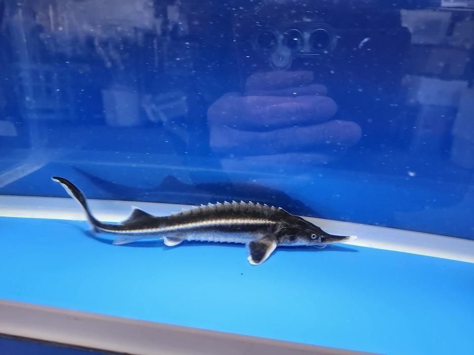  ٥ƥ 19cm2025.11.27ߡ