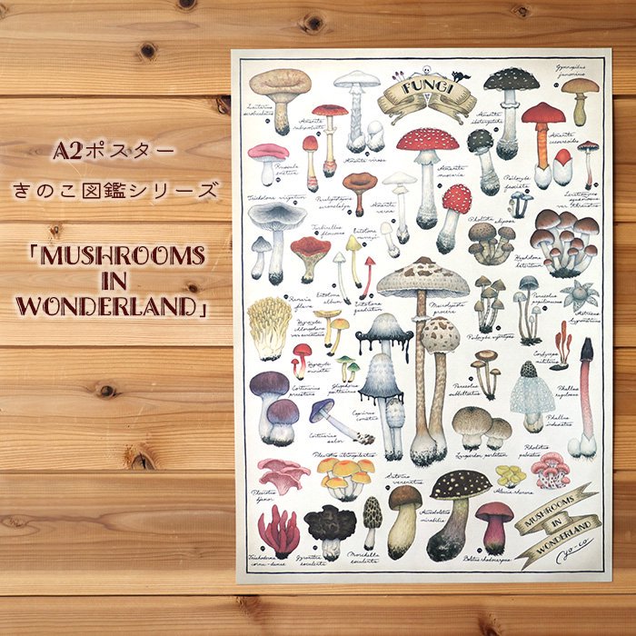 MUSHROOMS IN WONDERLANDA2ポスター