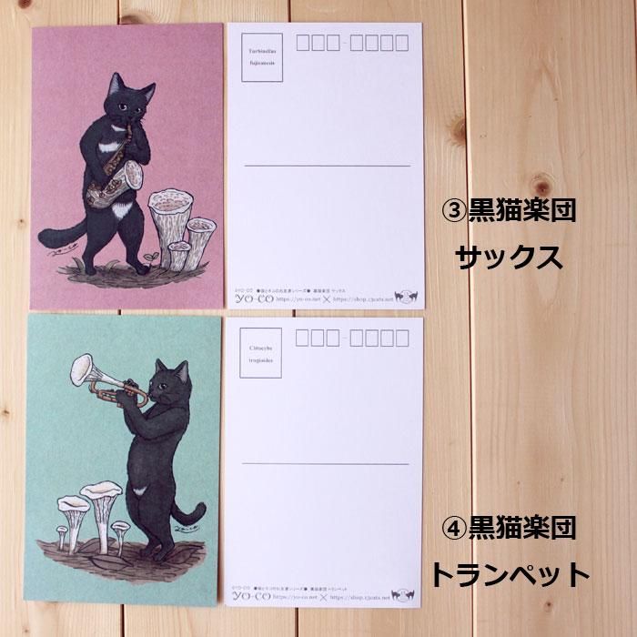 ○猫とネコのお友達4○黒猫楽団 ポストカード - 13.CATS.WORKS