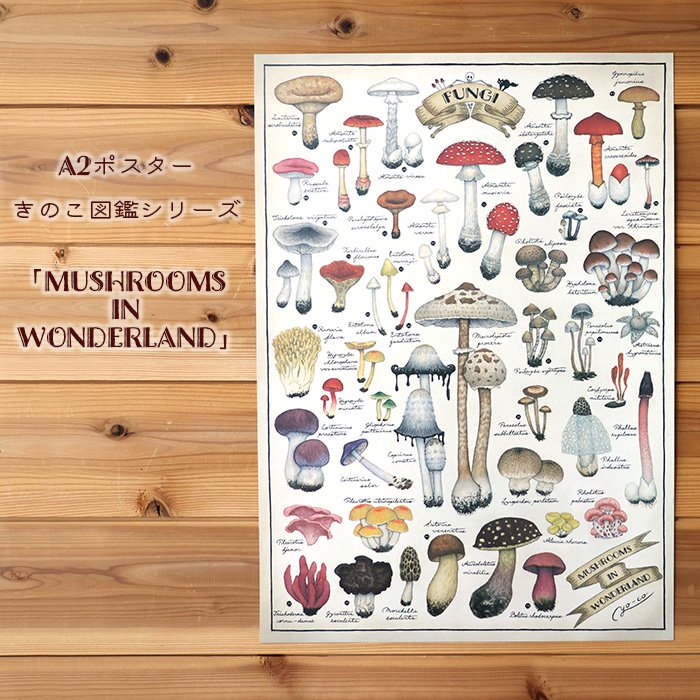 A2ポスター ●キノコ図鑑シリーズ3●MUSHROOMS IN WONDERLAND- 13.CATS.WORKS