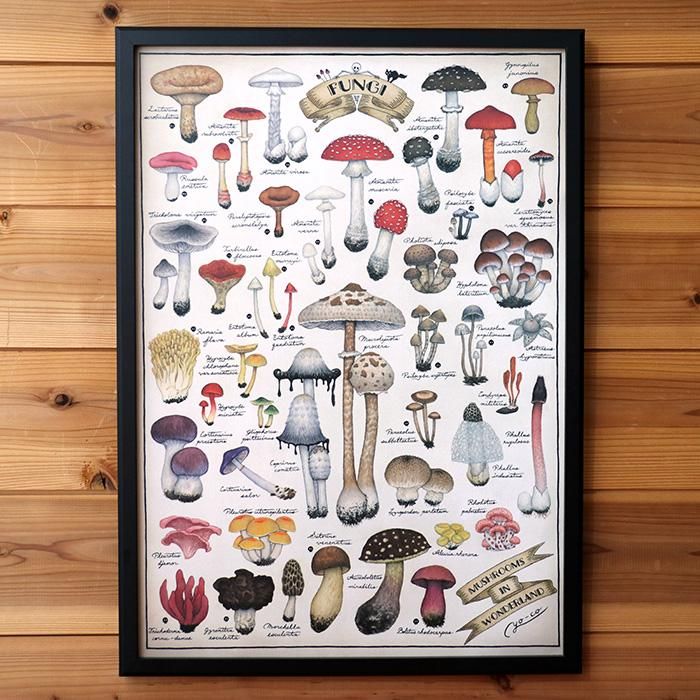 A2ポスター ○キノコ図鑑シリーズ3○MUSHROOMS IN WONDERLAND
