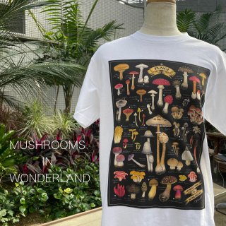 Tシャツ（MUSHROOMS IN WONDERLAND）13.CATS.WORKSオリジナル