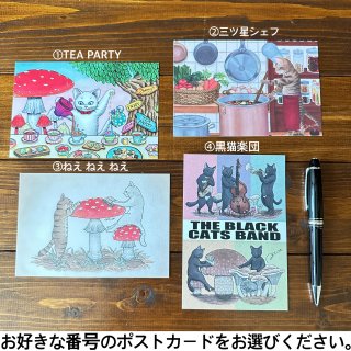TEA PARTY/三ツ星シェフ/ねえねえねえ/黒猫楽団　ポストカード