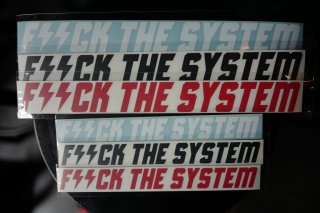 F//CK THE SYSTEM SMALL