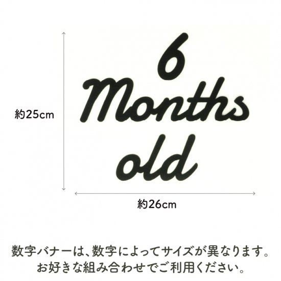 フェルトガーランド MONTH MONTHS OLD + 数字0～9 筆記体 | 木