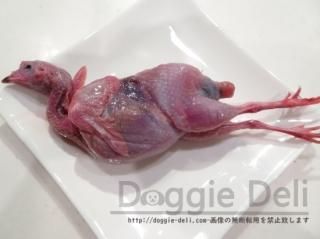 鶏 犬のごはん屋さん Doggie Deli