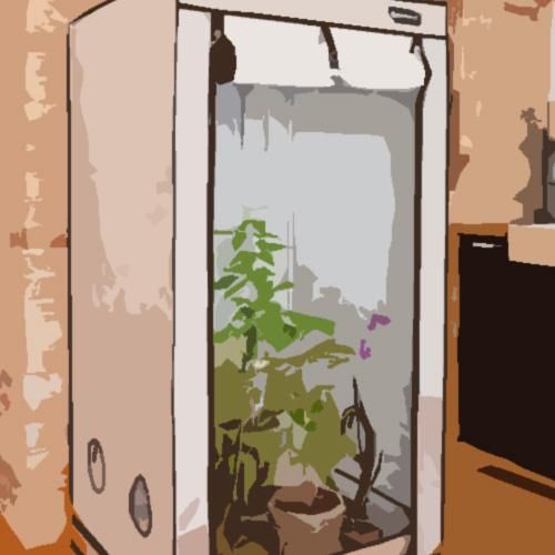 growstore -グロウストア- growstore -グロウストア-