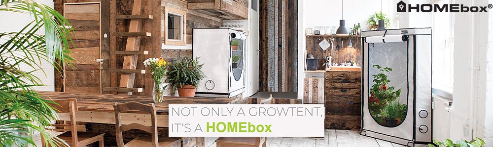 屋内用温室 - HOMEbox Growtent - growstore -グロウストア-