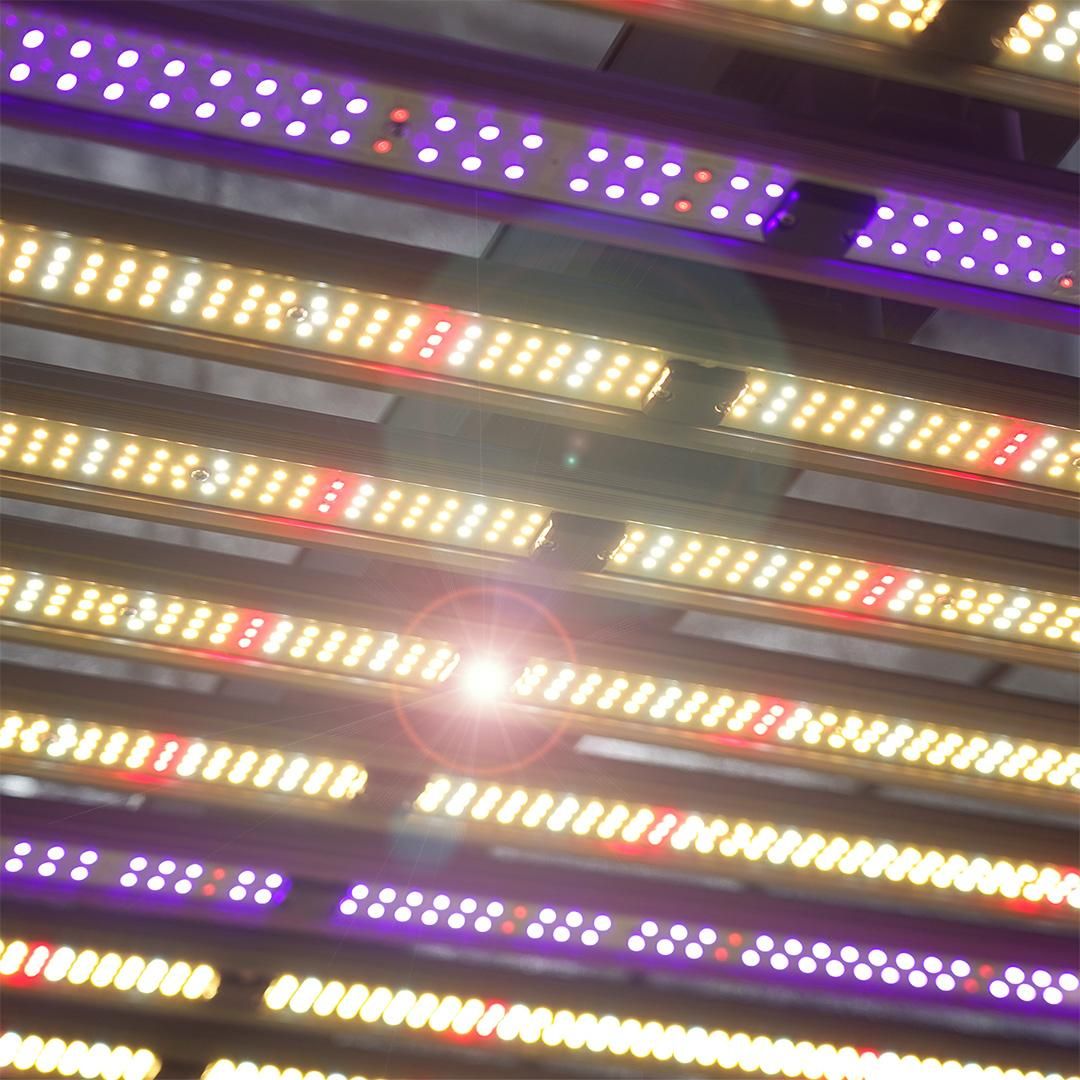 LED