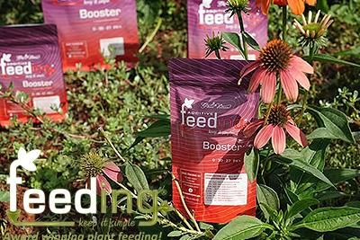 ԥåå Green House Feeding