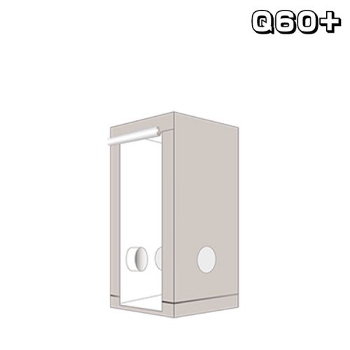 緿ʡ HOMEbox Ambient Q60+ ۡܥå ӥ 