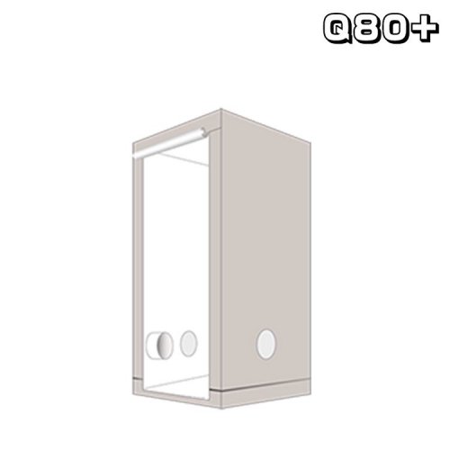 緿ʡ HOMEbox Ambient Q80+ ۡܥå ӥ 