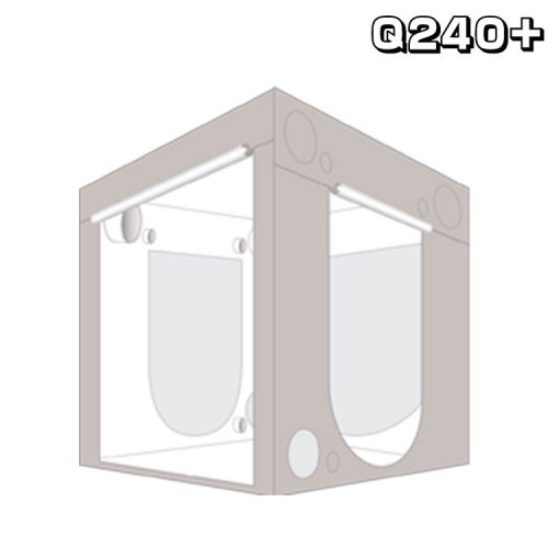 緿ʡ HOMEbox Ambient Q240+ ۡܥå ӥ