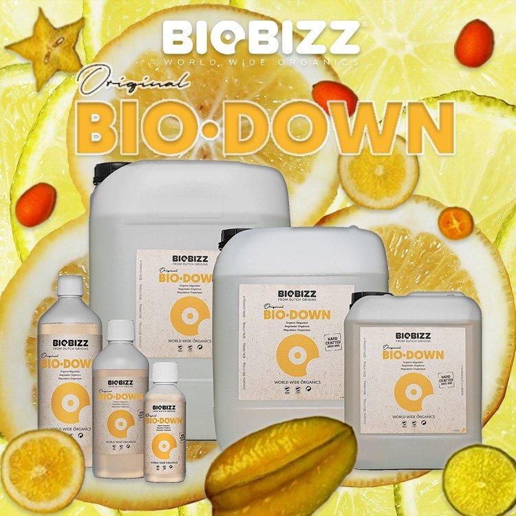 Biobizz Bio・Down バイオ ダウン オーガニックpH調整剤 - growstore
