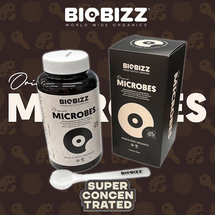 Biobizz Microbes マイクロブス 微生物資材 - growstore -グロウストア-