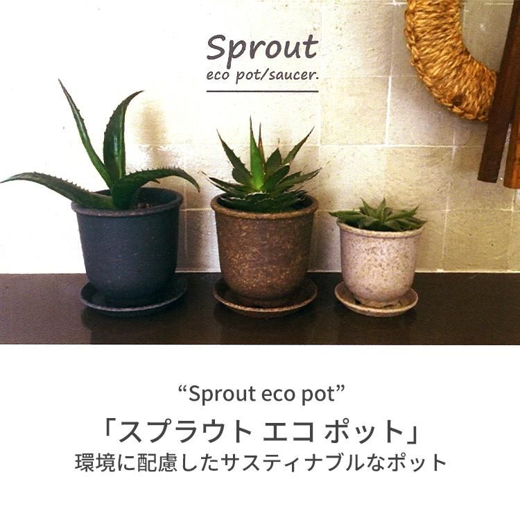 Sprout eco pot S エコポット 4号鉢 - growstore -グロウストア-