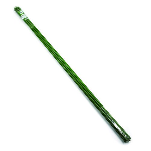 Plant Poles 90cm ݻ