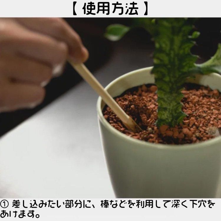 Water Dispenser ウォーターディスペンサー 0.06L - growstore