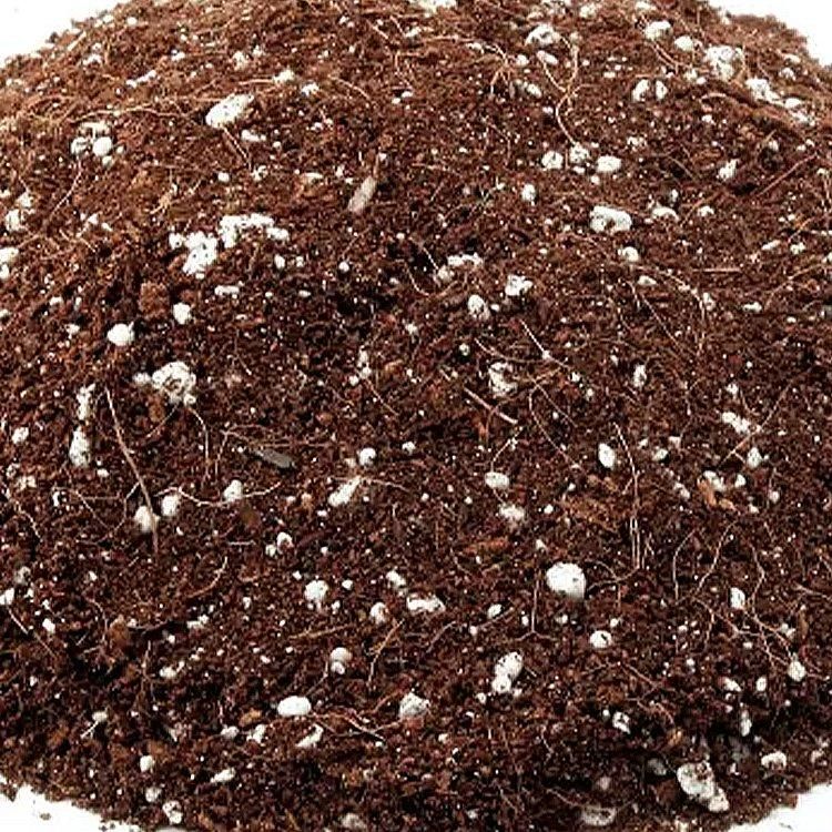 大型商品】T.A. Coco Fiber with perlite ココ培地 パーライト