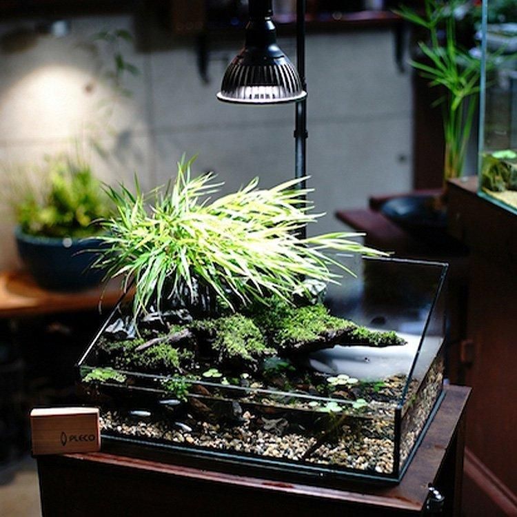 ◇ AMATERAS LED-10W ／ 太陽光に最も近い植物育成ライト × 2個