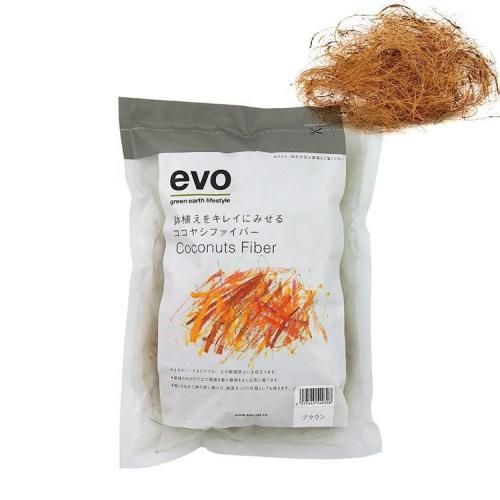 evo ȭ򥭥쥤˸륳䥷եС