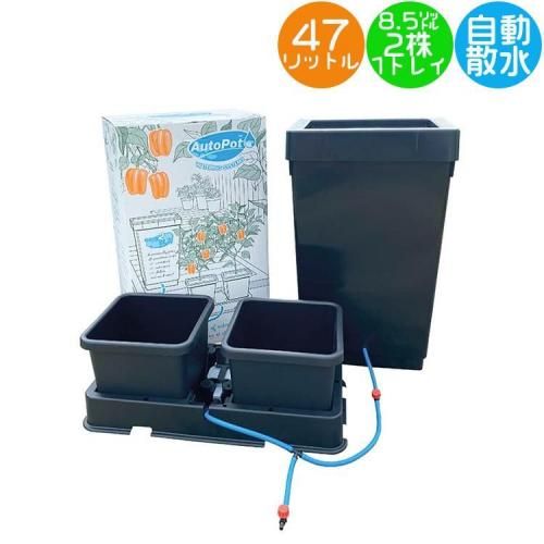 緿ʡ AutoPot easy2grow Kit 2 2 ư奭å 8.5Lݥå