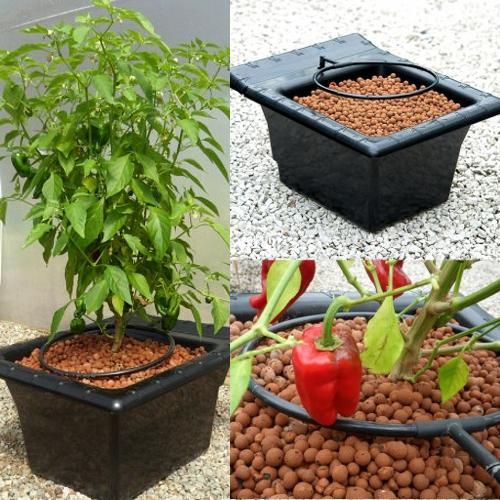 室内栽培水耕栽培ココ土耕 Overdrive 1L Amazon｜LOL-FUN 水耕栽培キット 12穴水耕栽培システム 屋内栽培