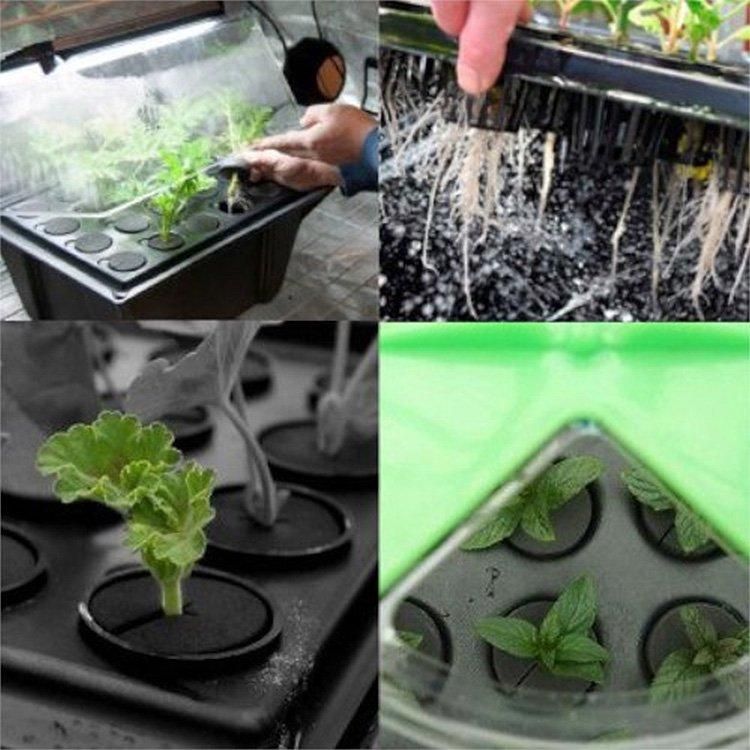 水耕栽培キット 水耕 EZ Clone 64 Low Pro グロウ クローン EZ-CLONE® Low Pro 64 System - EZ-CLONE