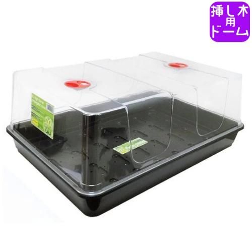 緿ʡ High Dome Propagator-XL ɡ