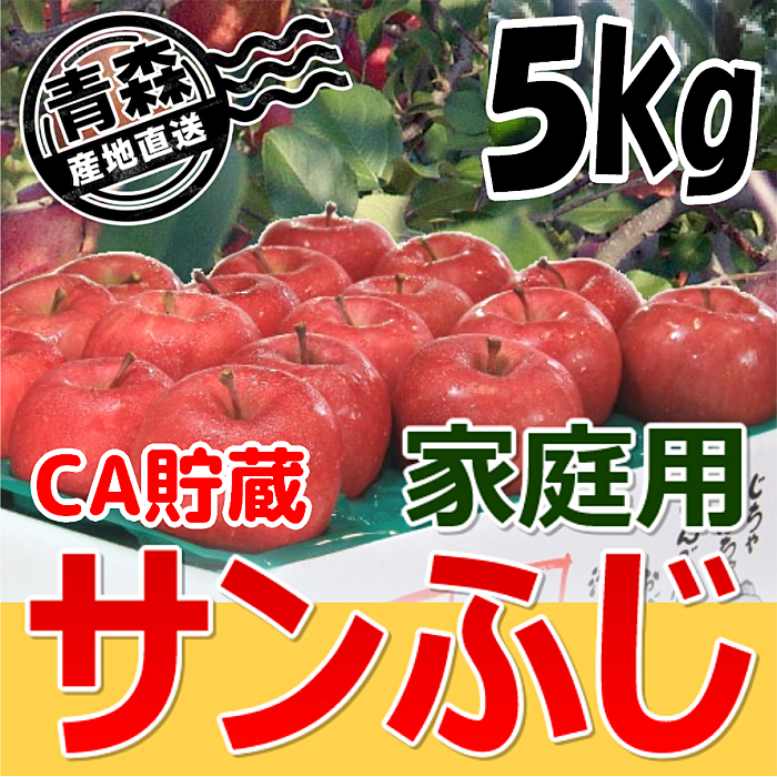 青森県産 家庭用 CA貯蔵 サンふじ 約5kg（16～20玉入）