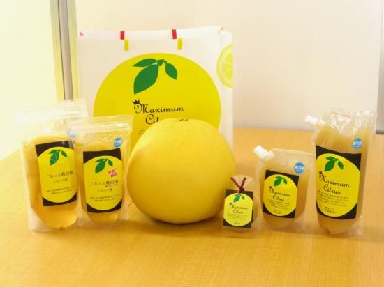 晩白柚ペースト | 熊本特産品 - 八代よかとこ物産館