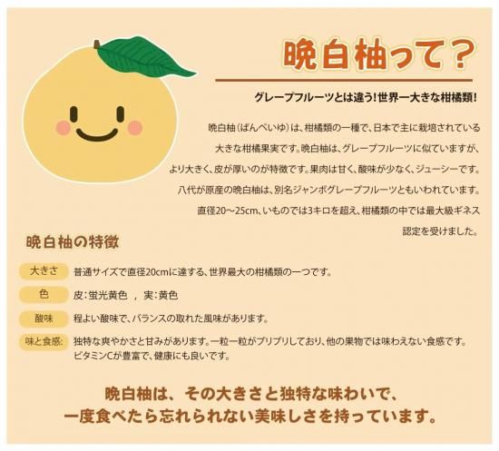 晩白柚☆様×4 晩白柚饅頭|贅沢な風味 - 八代よかとこ物産館