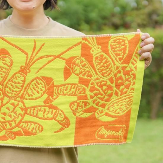 宮沢和史　みやんちグッズ　やちむん　限定皿　21セット みやんちSTUDIO&COFFEE