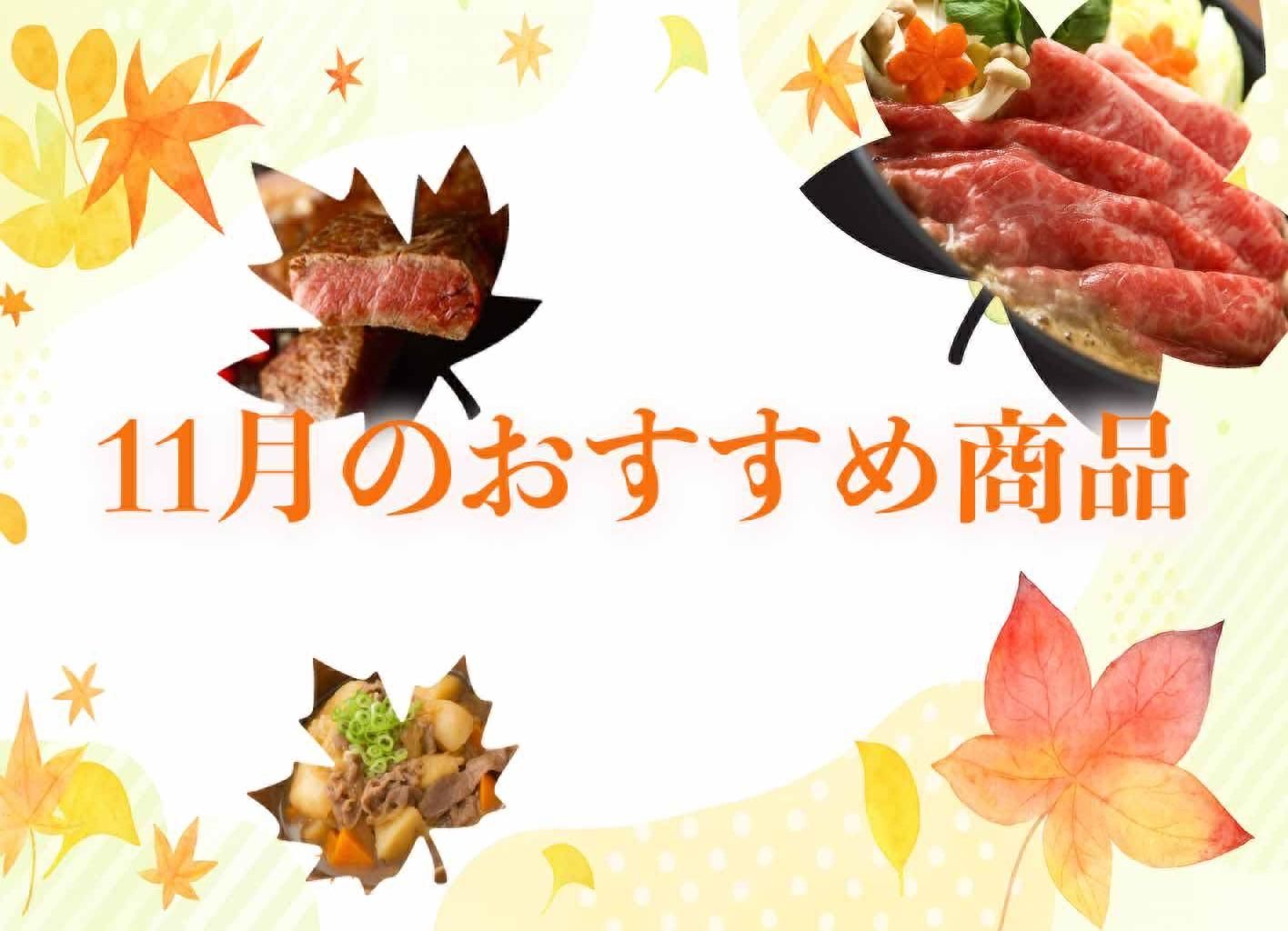 今月のおすすめ