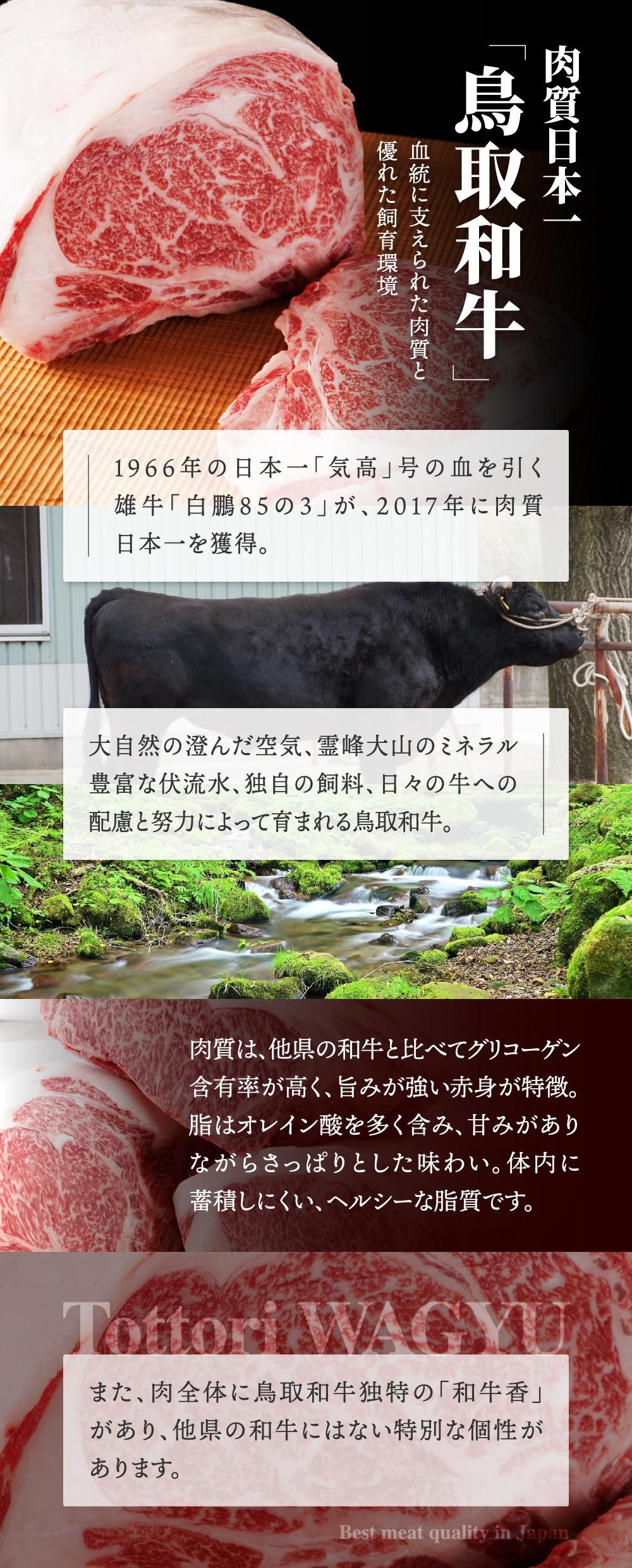 鳥取和牛_肉質日本一