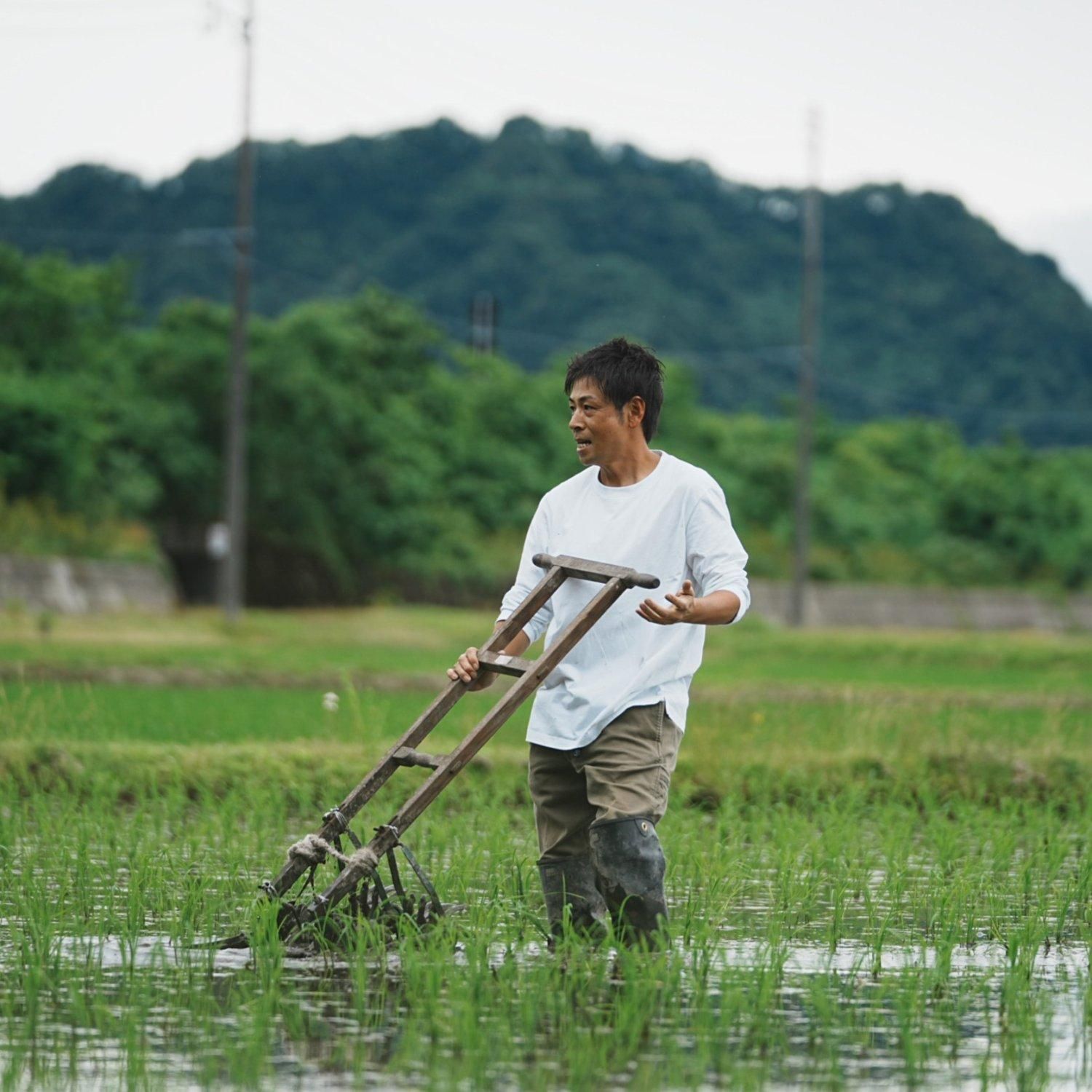 ③コシヒカリ16k　R6 頓原町産 令和6年産『飯綱町産はぜ掛け米コシヒカリ』籾30kg