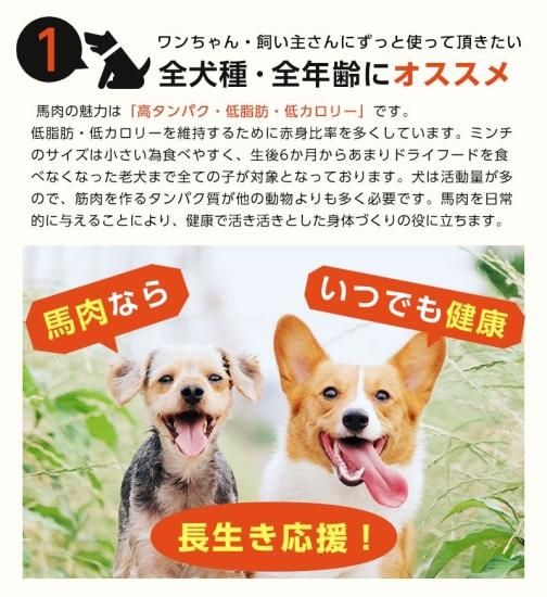 ペット馬肉 犬用 プレミアムペット馬肉 | 無添加 ダイエット 50g