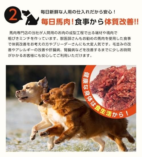 ペット馬肉 犬用 プレミアムペット馬肉 | 無添加 ダイエット 50g
