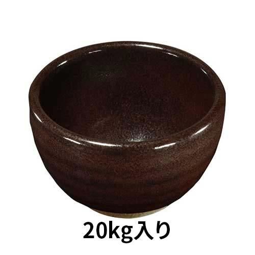 71WnT7QLtyL._UF894,1000_QL80_.jpg