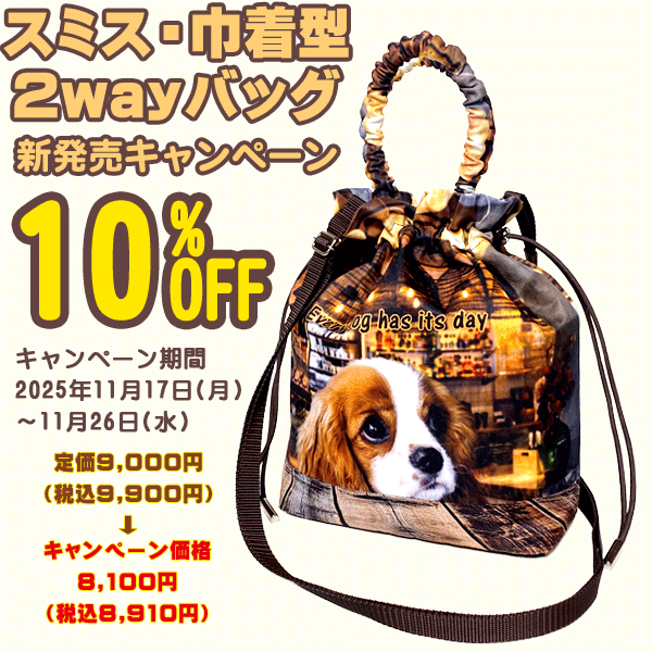 新発売【スミス巾着型2wayバッグ】10%割引キャンペーン