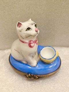 リモージュボックス　ピーターラビット　タビタママ　猫雑貨　置物　リモージュ　ネコ