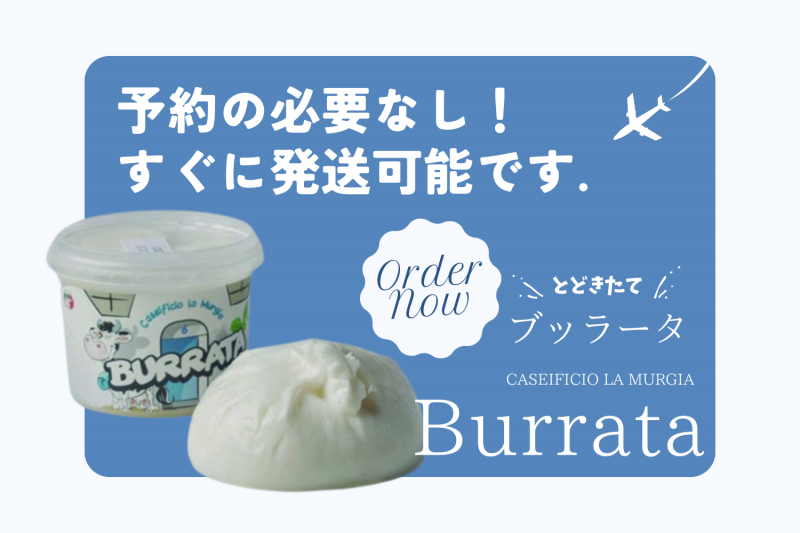 ڹˤ2ĥåȡ̣¡7/9ۥ֥å顼100g2ġ¢