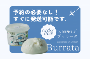 ڹˤ2ĥåȡ̣¡7/9ۥ֥å顼100g2ġ¢