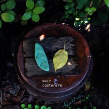 Leaf pin<br>contereve<br>17FW