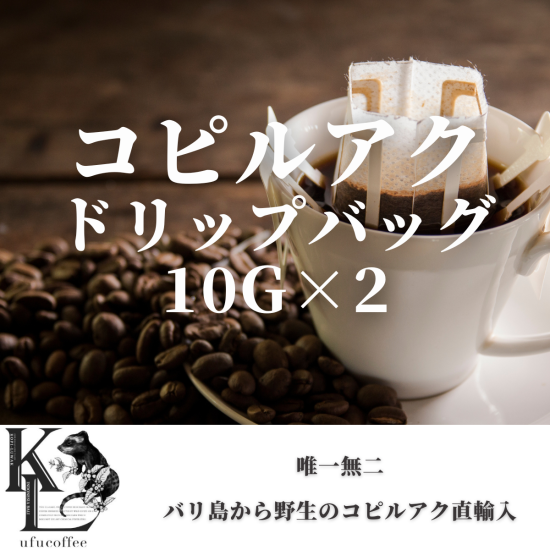 ジャコウネココーヒー - ufu coffee(ウフコーヒー)野生の ジャコウネココーヒー - ufu coffee(ウフコーヒー)野生の