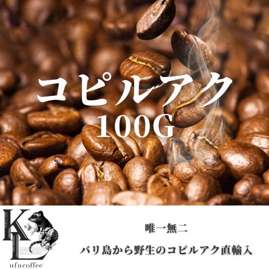 ジャコウネココーヒー / ジャコウネココーヒー専門店ウフコーヒー