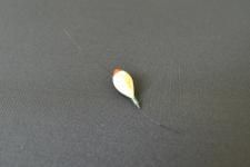 タナゴ竿 四本継ぎ 竹竿 和竿