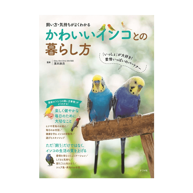 飼い方 気持ちがよくわかる かわいいインコとの暮らし方