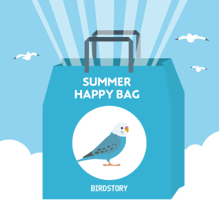 SUMMER HAPPY BAG 2020（BIRDSOTRY / セキセイインコ）
